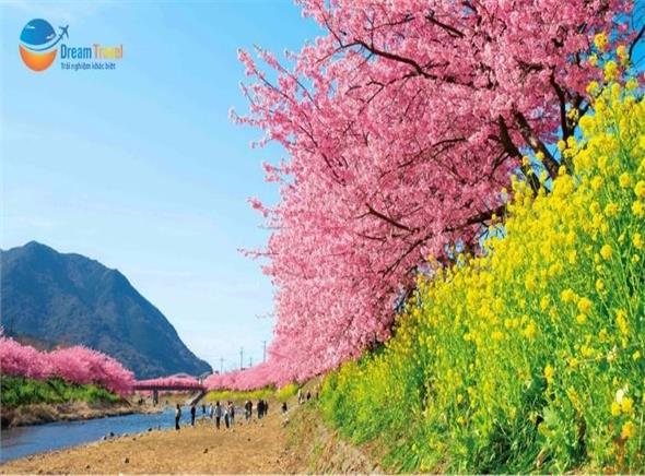 Tour Nhật Bản 6N5Đ: Hành Trình Vàng Đón Tết Nguyên Đán 2027